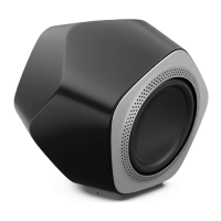 Preview: Bang & Olufsen BeoLab 19