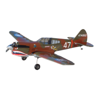 Preview: Hangar 9 P-40 Warhawk