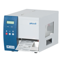 Preview: Carl Valentin PICA II