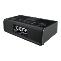 Preview: iHome iBN43