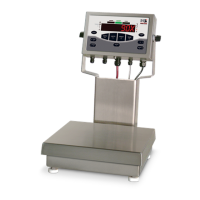 Preview: Rice Lake CW-90