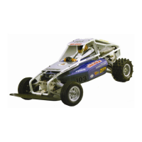 Preview: Kyosho Wildcat Circuit 10