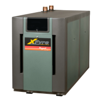 Preview: Raypak XFyre 300A