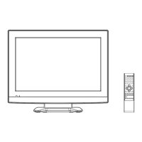 Preview: Orion TV19PL110D