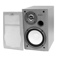 Preview: Sony SS-CCP300