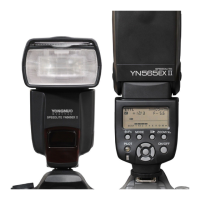 Preview: Yongnuo YN565EXII