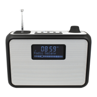 Preview: Blaupunkt PP15DAB