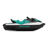 Preview: SeaDoo GTI