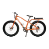 Bicycle Logo