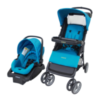 Preview: Cosco TR305
