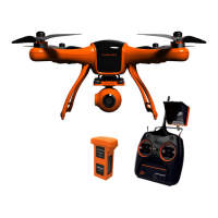 Preview: Wingsland Minivet