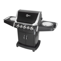 Preview: BLUE EMBER GRILLS FG50069