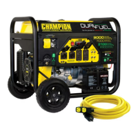 Preview: Champion Power Equipment 100155