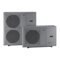 Preview: Zodiac Edenpac 4D