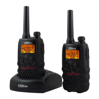 Preview: MaxComm PMR WT350