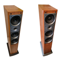 Preview: Pioneer S-H510V
