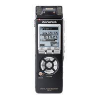 Preview: Olympus DS-75