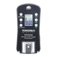 Preview: Yongnuo RF605