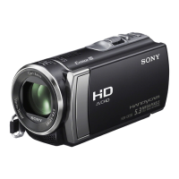 Preview: Sony HDR-CX190