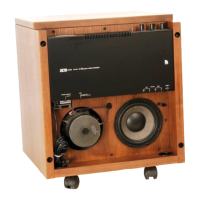 Preview: Audio Pro B2-50