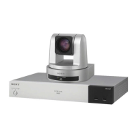 Preview: Sony Ipela PCS-XG100