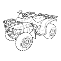 Preview: Honda 1999 FourTrax Recon TRX250