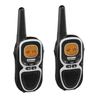 Preview: BRONDI FX-300 TWIN PMR 446