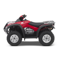 Preview: Honda TRX250 Fourtrax