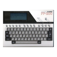 Preview: Casio FP-200