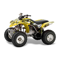 Preview: Honda TRX250EX Sportrax 250EX