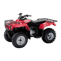 Preview: Honda 2000 TRX250 Fourtrax Recon