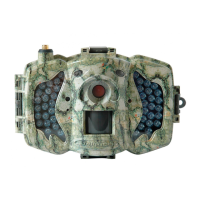 Preview: BolyGuard MG983G-30M