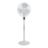 Fan Logo