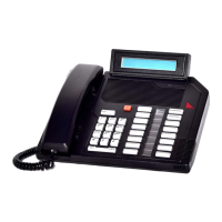 Preview: Nortel Meridian M5316