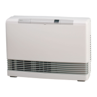 Preview: Rinnai Energysaver RHFE-556 FTR