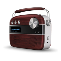 Saregama Carvaan