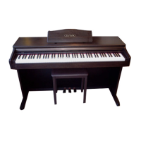 Preview: Casio AP-20