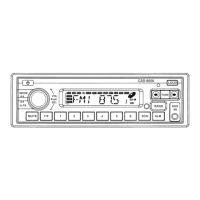 Preview: Custom Radio CSS-6000