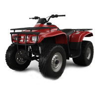 Preview: 2001 TRX 250 Fourtrax Recon