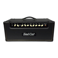 Preview: Bad Cat Cougar 50