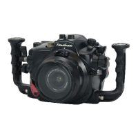 Preview: Nauticam NA-60D