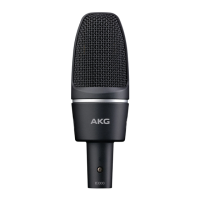 Preview: AKG C3000