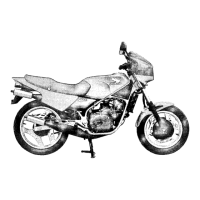 Preview: Honda MVX250F