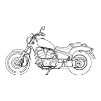 Preview: Honda VT600C