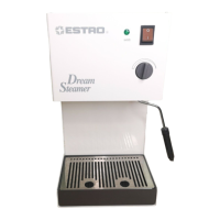Preview: Estro DREAM STEAMER
