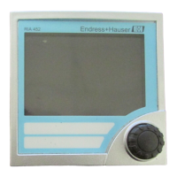 Preview: Endress+Hauser RIA452