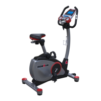 Preview: Ironman Fitness H-Class 310