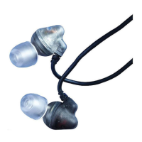 Preview: Shure E2c