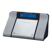 Preview: Panasonic RC-CD350