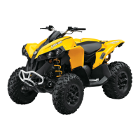 Preview: Can-Am 2009 Renegade 500